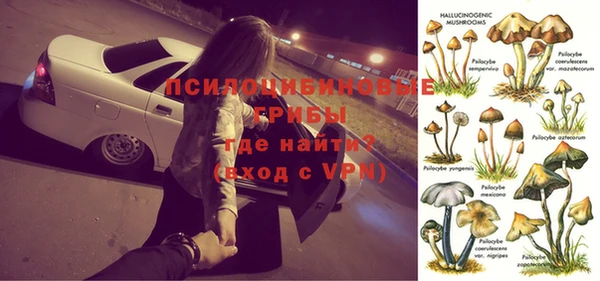 первитин Струнино